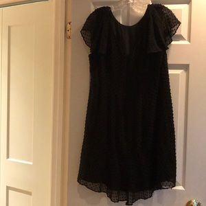 Size 10 JCrew Swiss dot black cotton dress